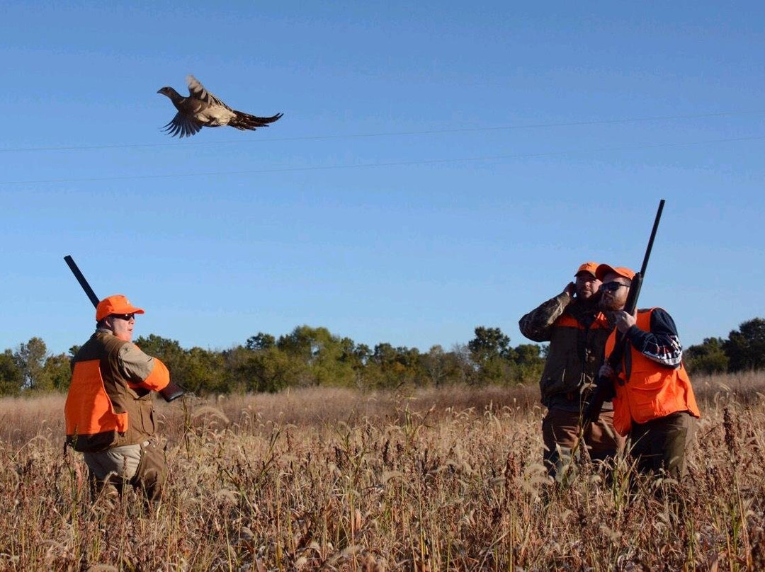 SHOW ME BIRDS HUNTING RESORT-巴克斯特斯普林斯必去景点
