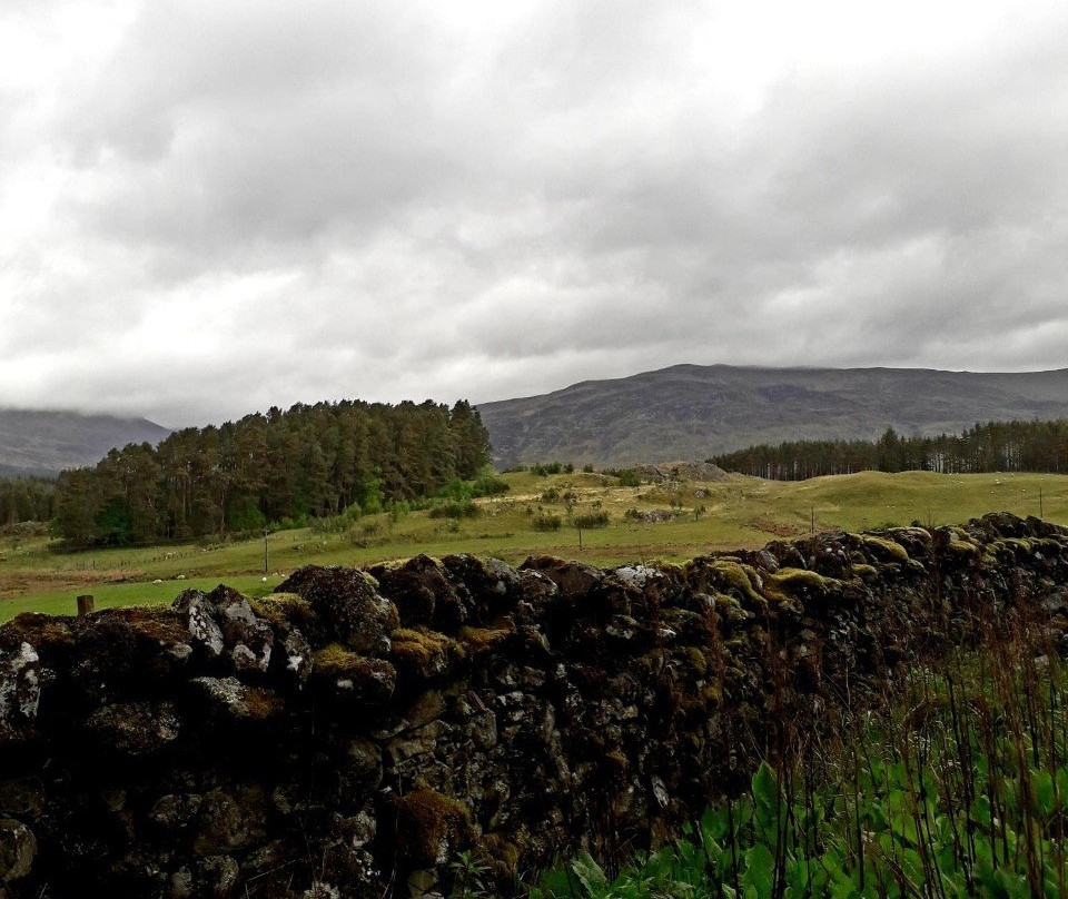 Cairngorms National Park景点图片
