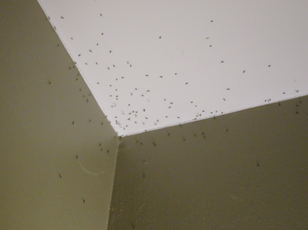 Hotel Palau De Girona主图