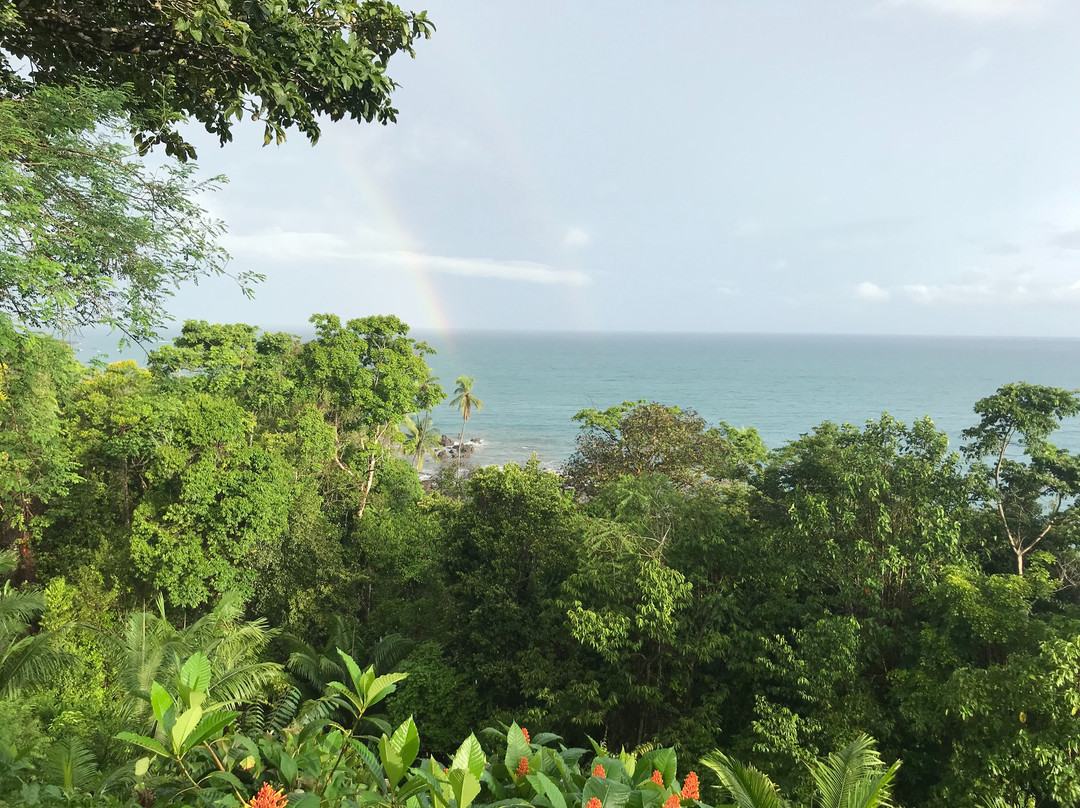 La Paloma Lodge Drake Bay主图