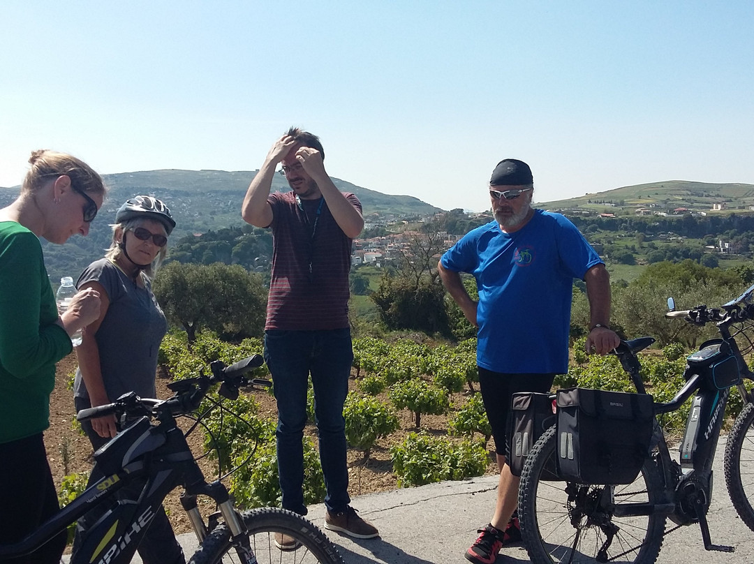 Adams E-Bikes Crete景点图片
