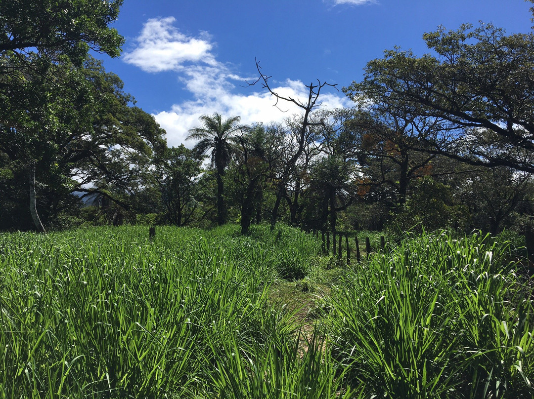 Panama Pathfinders景点图片