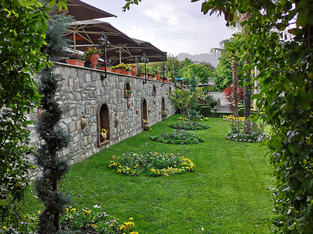 Real Scampis Hotel主图