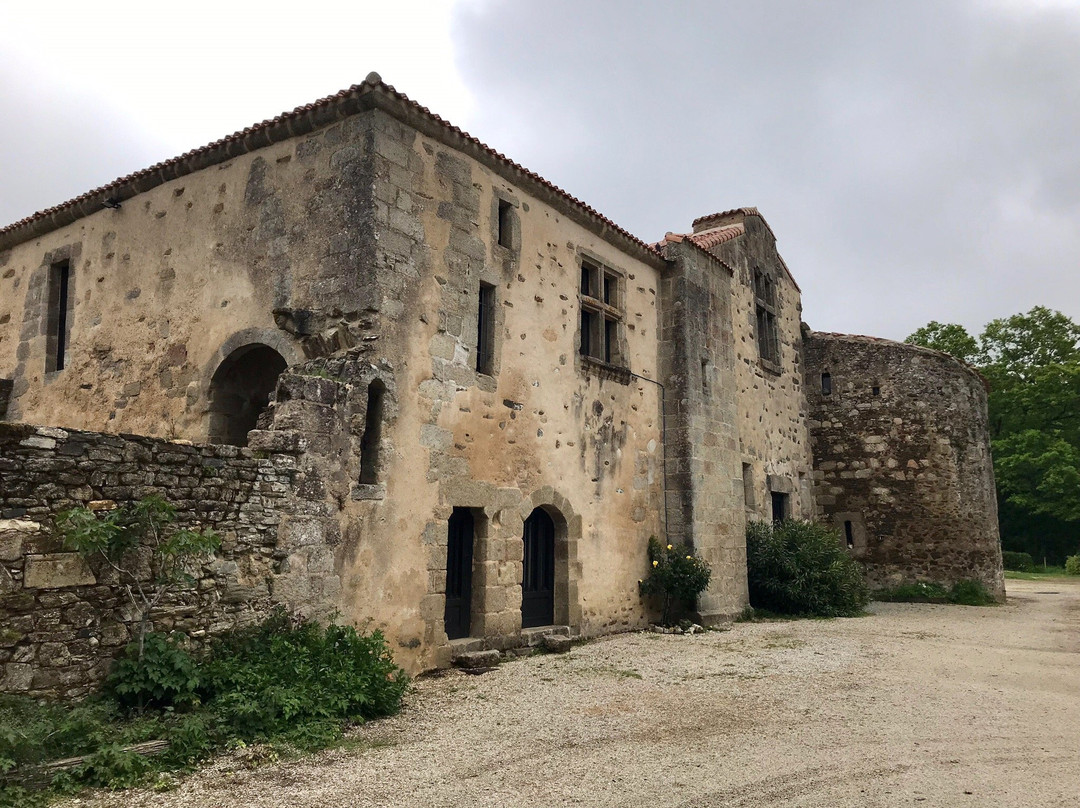 Abbaye de la Grainetière景点图片