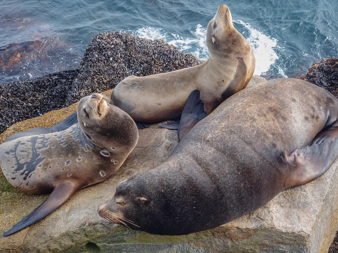 Breakwater-蒙特雷必去景点