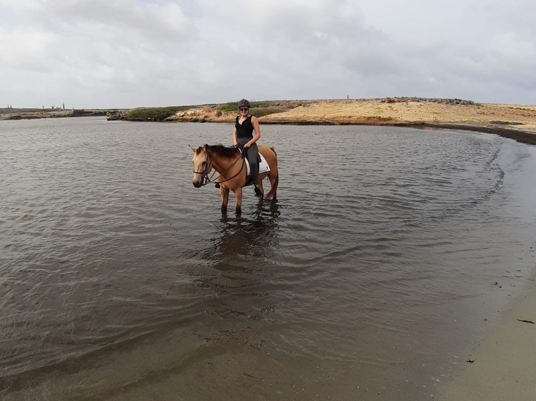 Rancho Washikemba Horse Ranch Bonaire景点图片