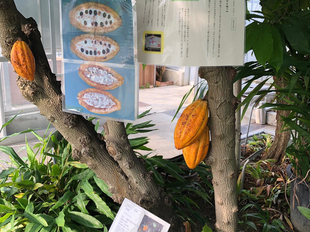 Naito Museum of Pharmaceutical Science and Industry-各务原市必去景点