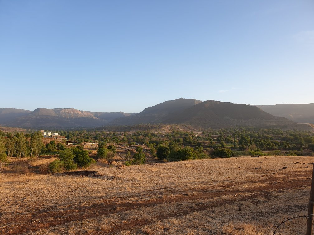 The Yellow Retreat主图