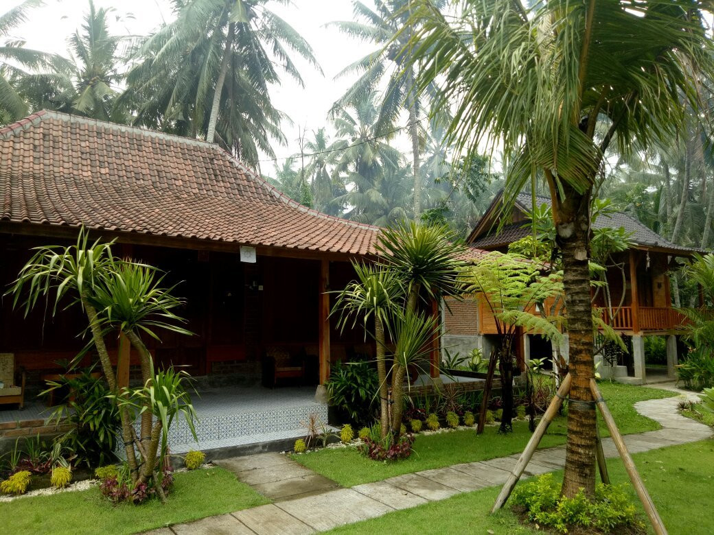 Kafein House Sangeh