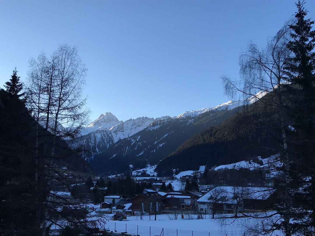 Hotel Daneu Gaschurn主图