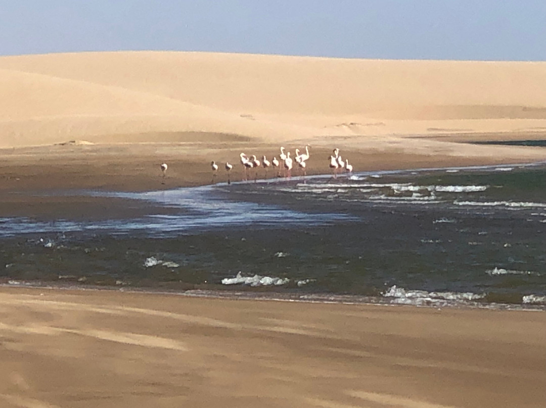 Desert Magic Tours Namibia-斯瓦科普蒙德必去景点