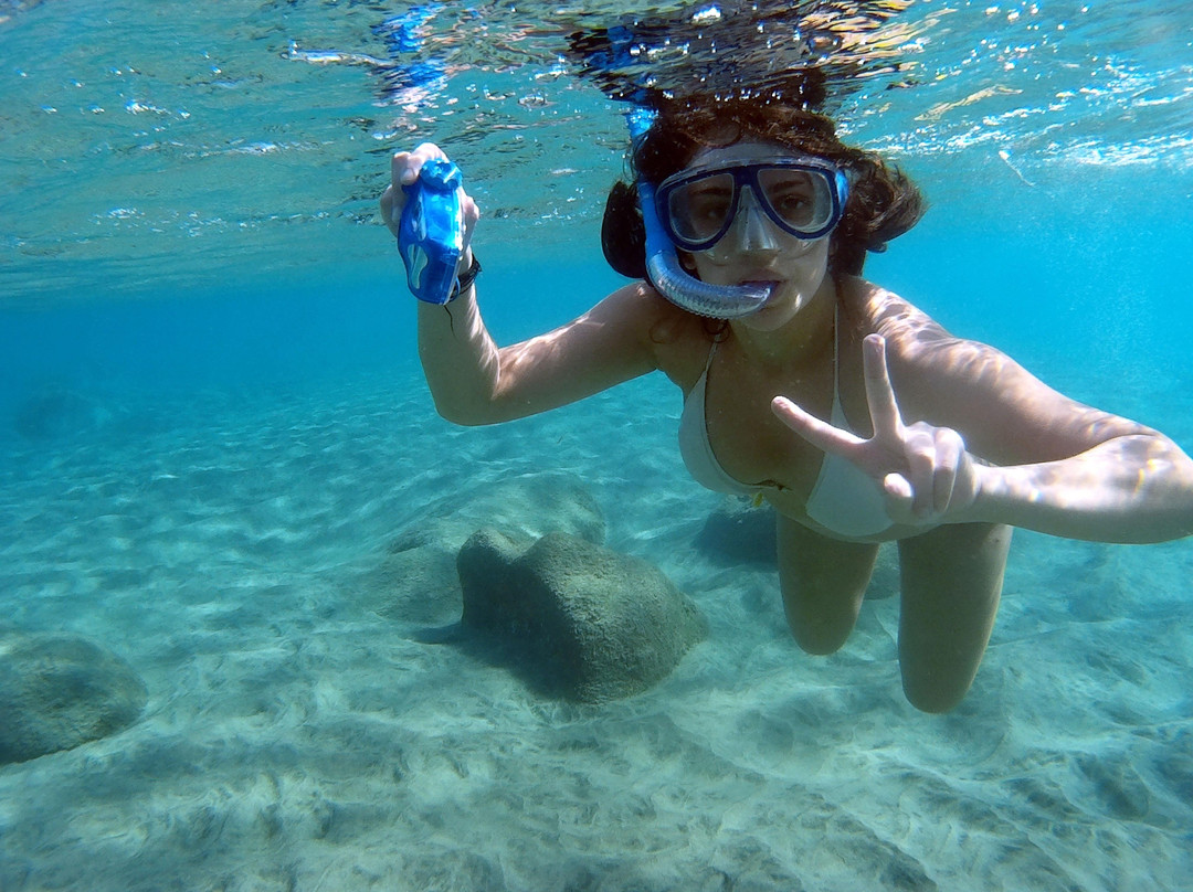 Wild Lotus Beach Glamping & Cades Reef-Bolans必去景点