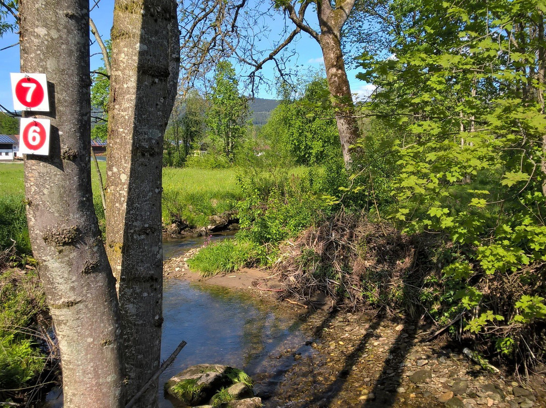 Hotel Ferien-Vom-Ich主图