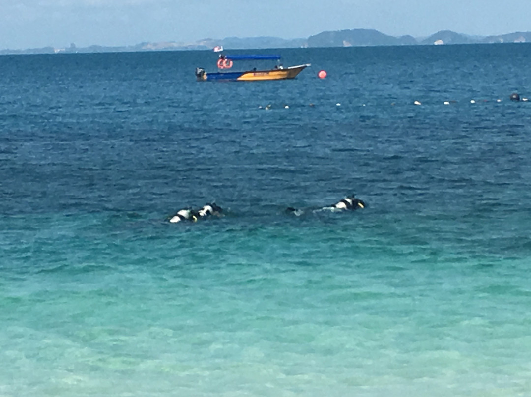 OrcaNation Singapore-新加坡必去景点