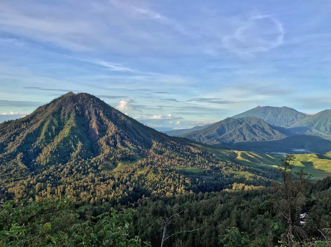 Bromo Authentic Tours景点图片