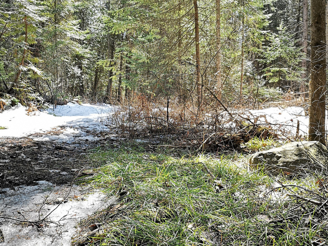 Ken Reid Conservation Area景点图片