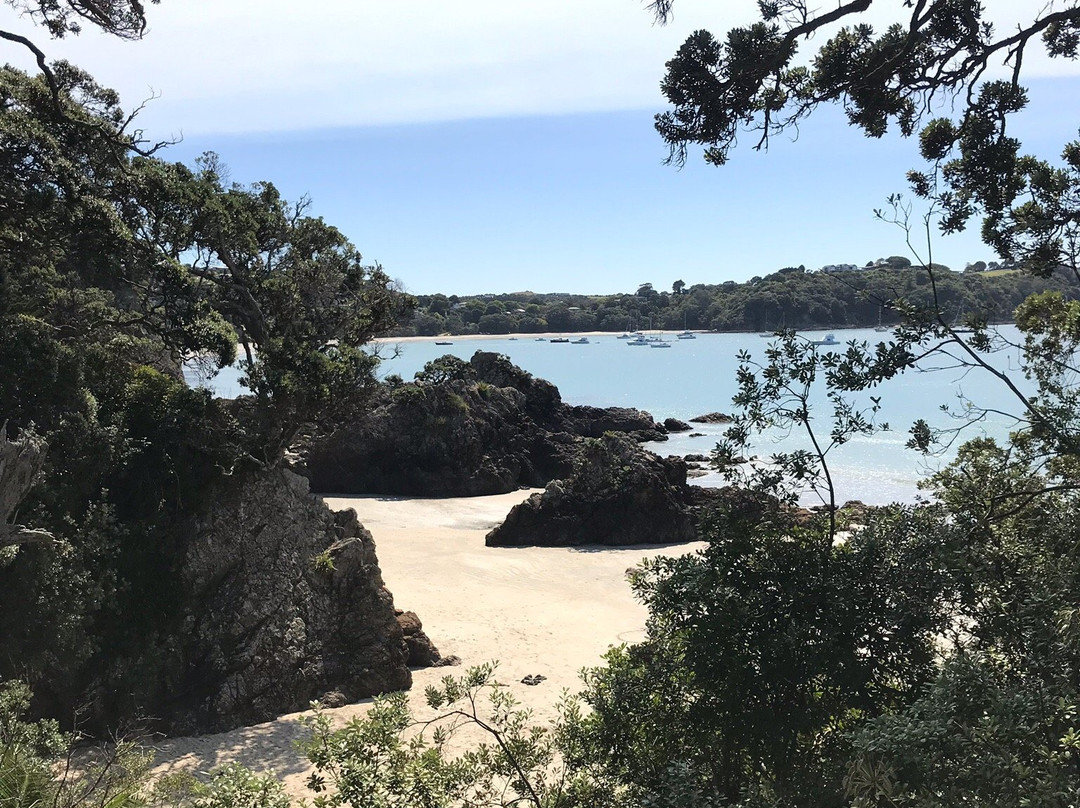 Sunrise eBikes Waiheke景点图片