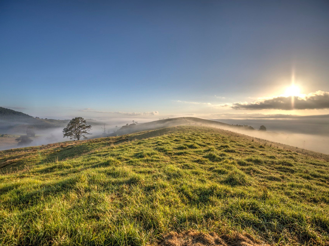 Petite Provence Bed & Breakfast主图