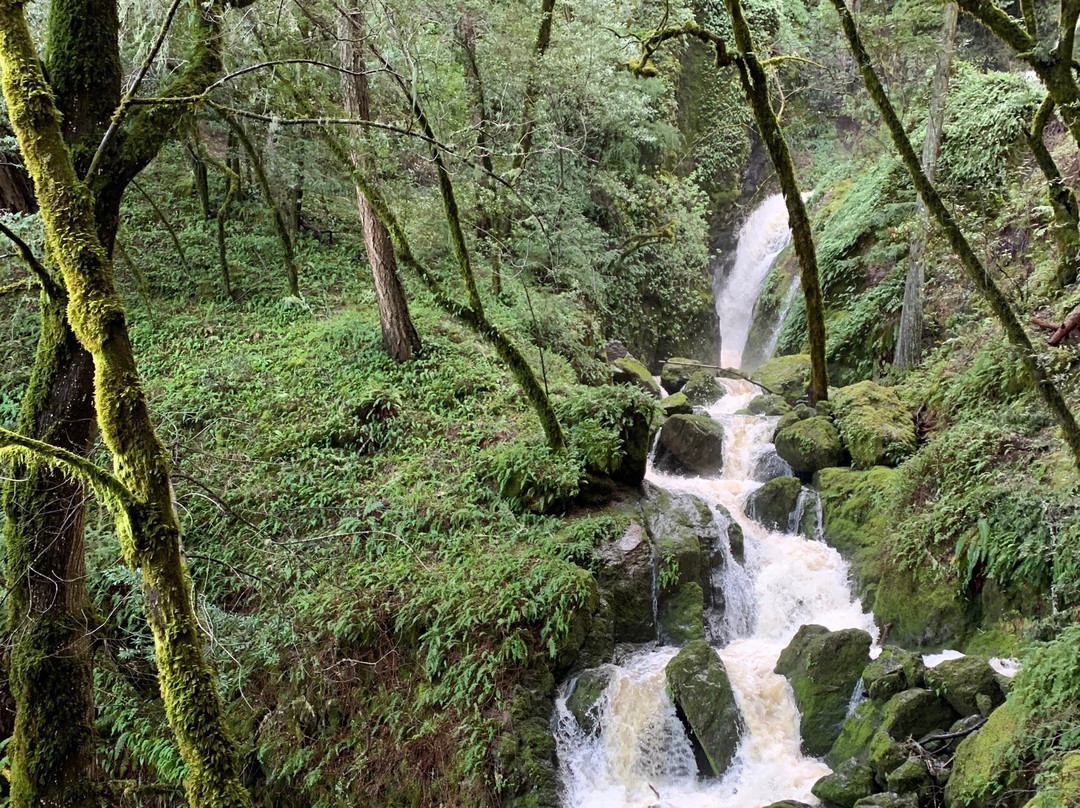Cataract Falls-Fairfax必去景点