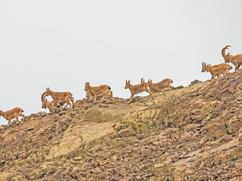 Kazakhstan Tourism-阿拉木图必去景点