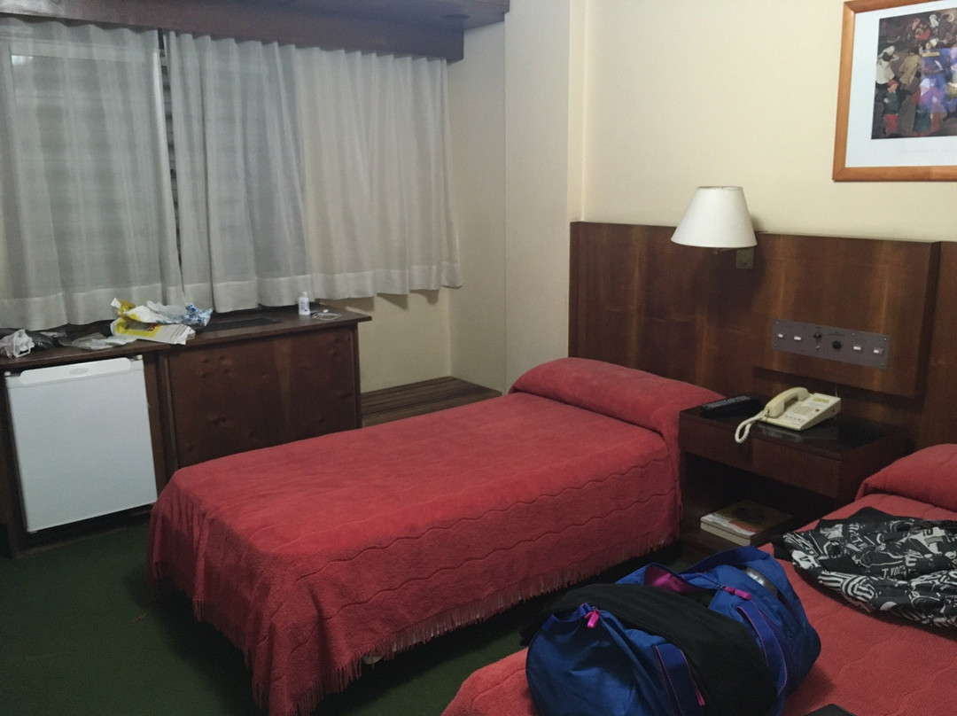 Hotel Del Jardin主图