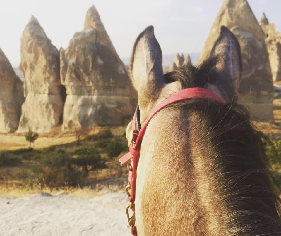 Katpatuka Horses Ranch Cappadocia-格雷梅必去景点