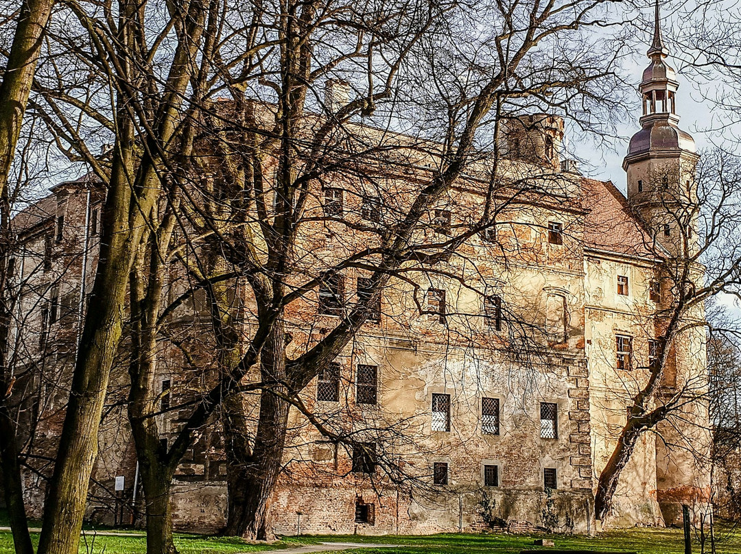 Castle in Głogówek景点图片