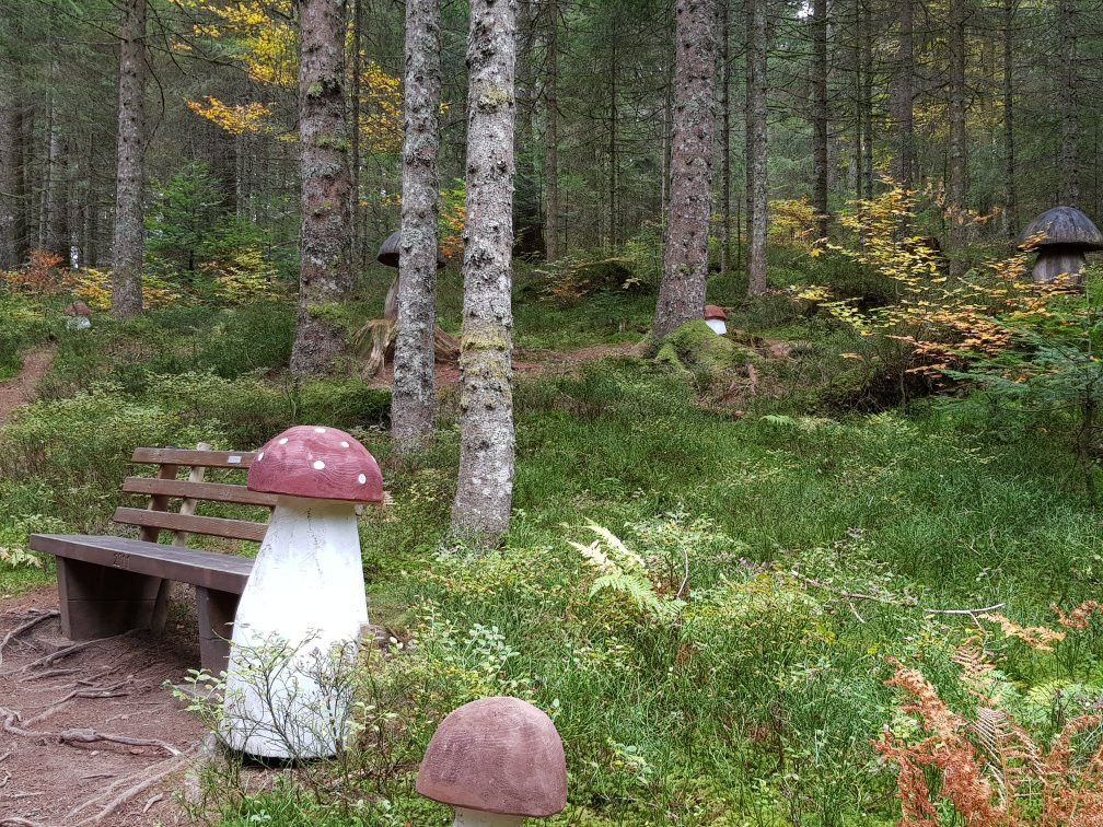 The Little Folk's Trail-菲尔德山必去景点