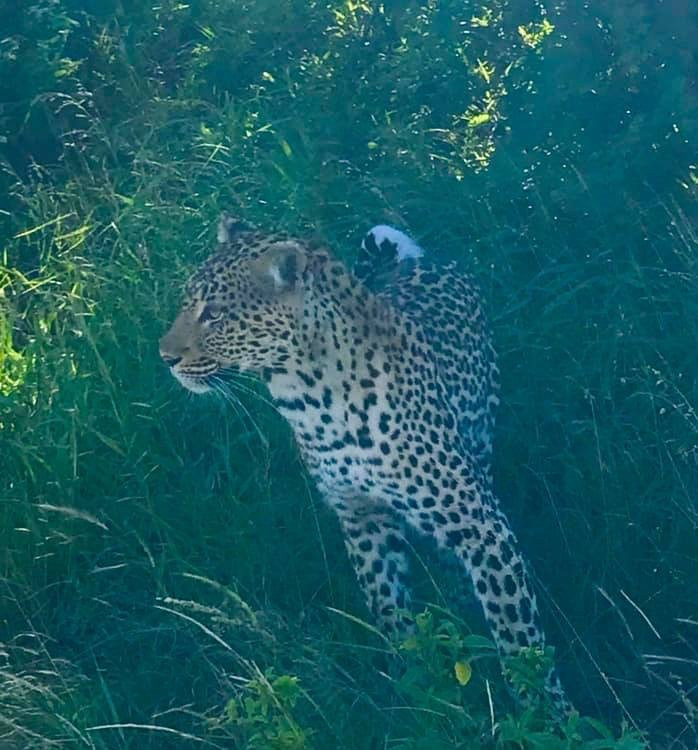 Outdoor Africa-理查兹湾必去景点