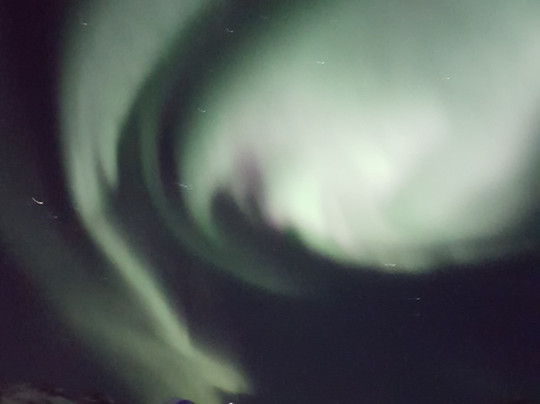 Karl-Ivar's Guided Tours-特罗姆瑟必去景点