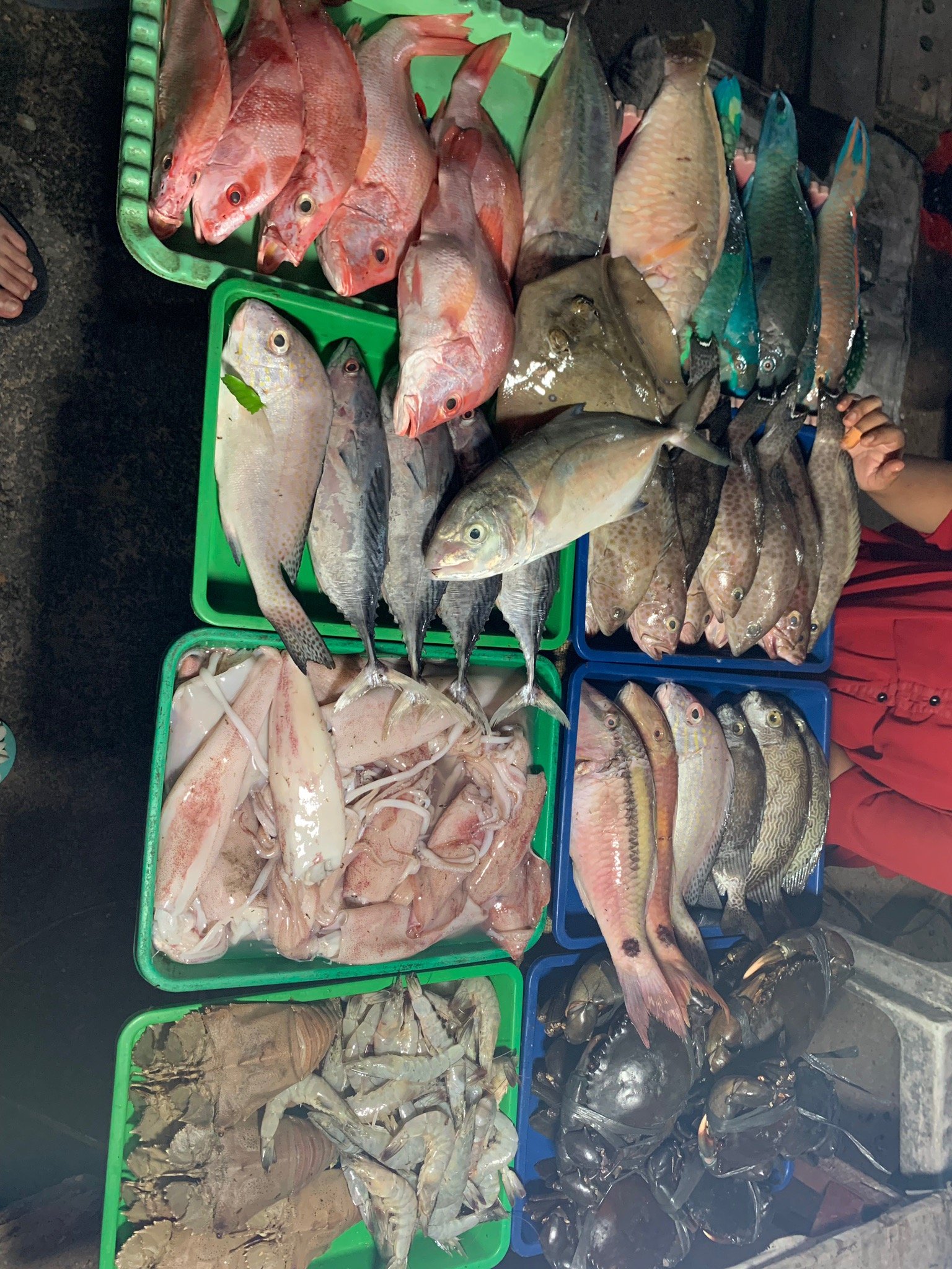 Karimunjawa Square-2019年3月6日上传的实拍图