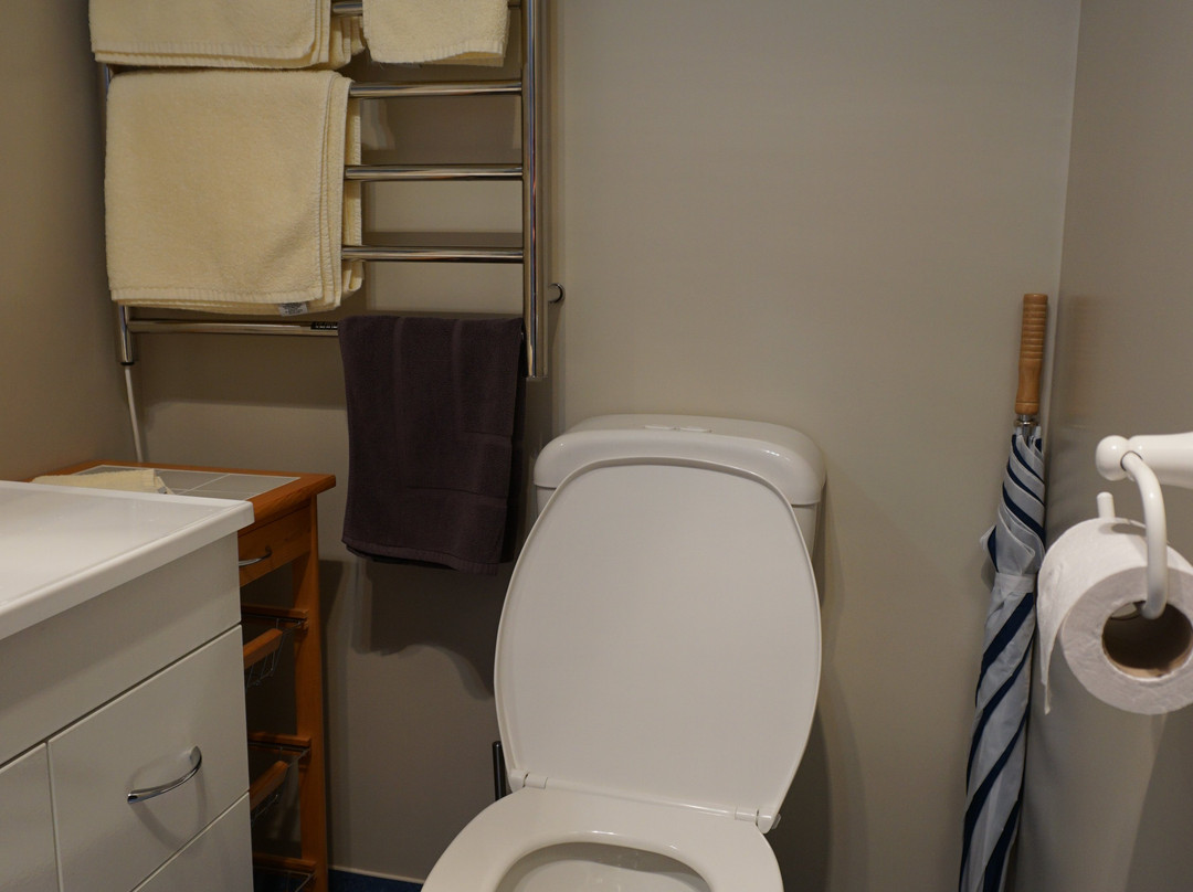 福克斯冰川山景住宿加早餐旅馆主图