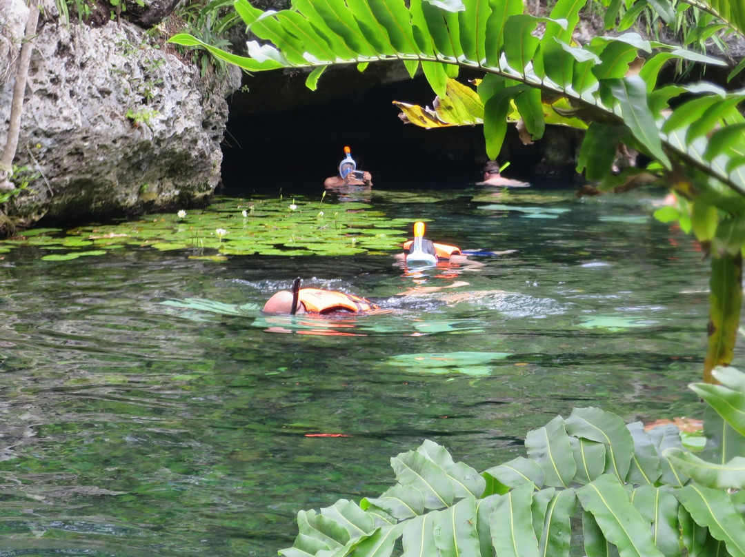 Cenotes Sac Actun景点图片