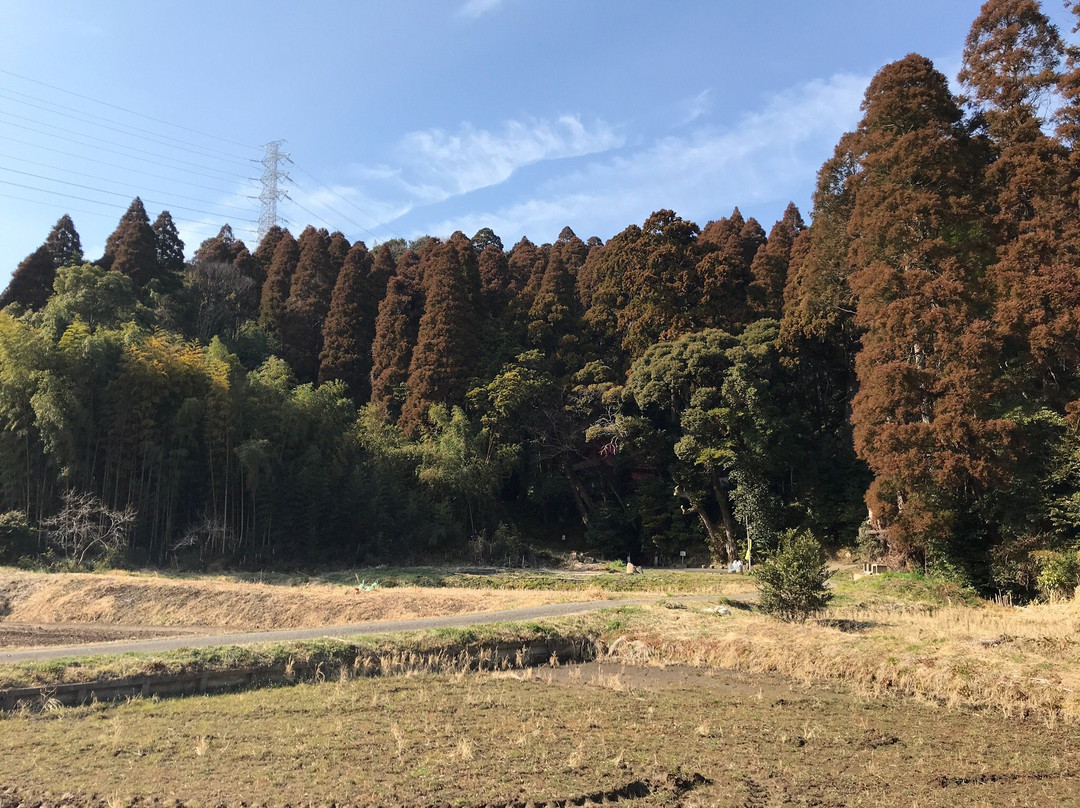 Minamidama Fudoson Waterfall-大网白里町必去景点