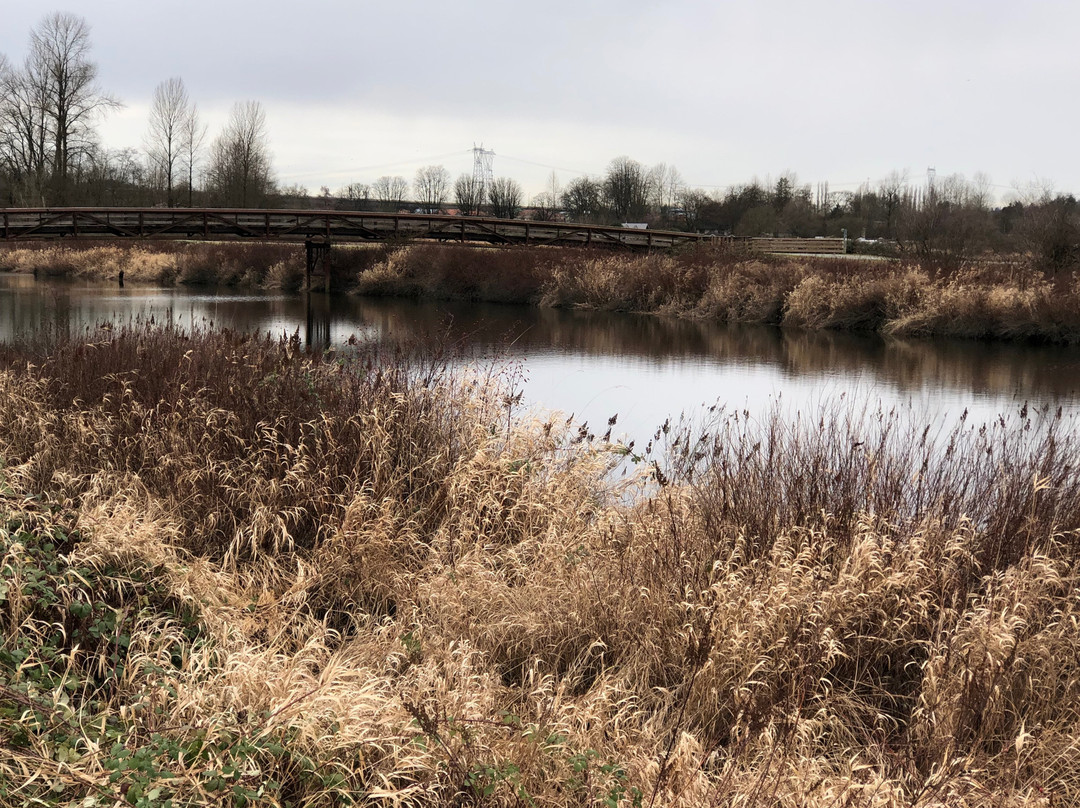 Colony Farm Regional Park-高贵林港必去景点