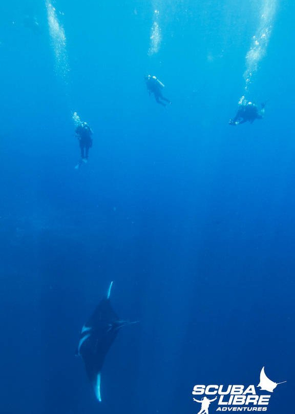 Scuba Libre Adventures景点图片