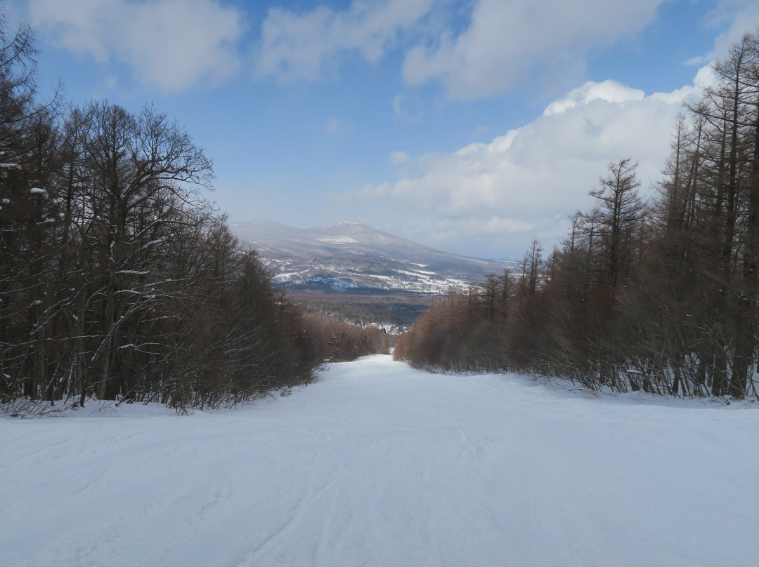 Hachimantai Resort Panorama Ski Resort景点图片