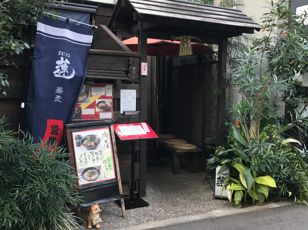 EBISU 蓮