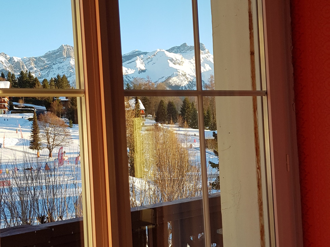 Villars Palace主图