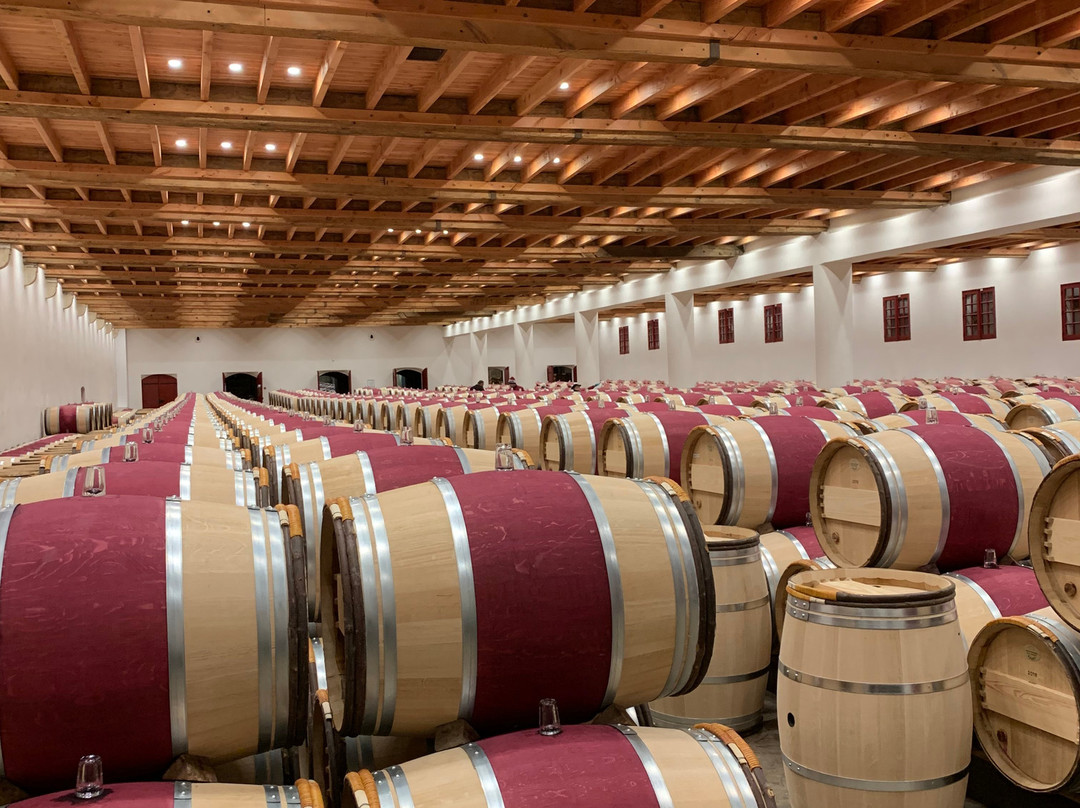 Bordeaux Wine Travel-波尔多必去景点