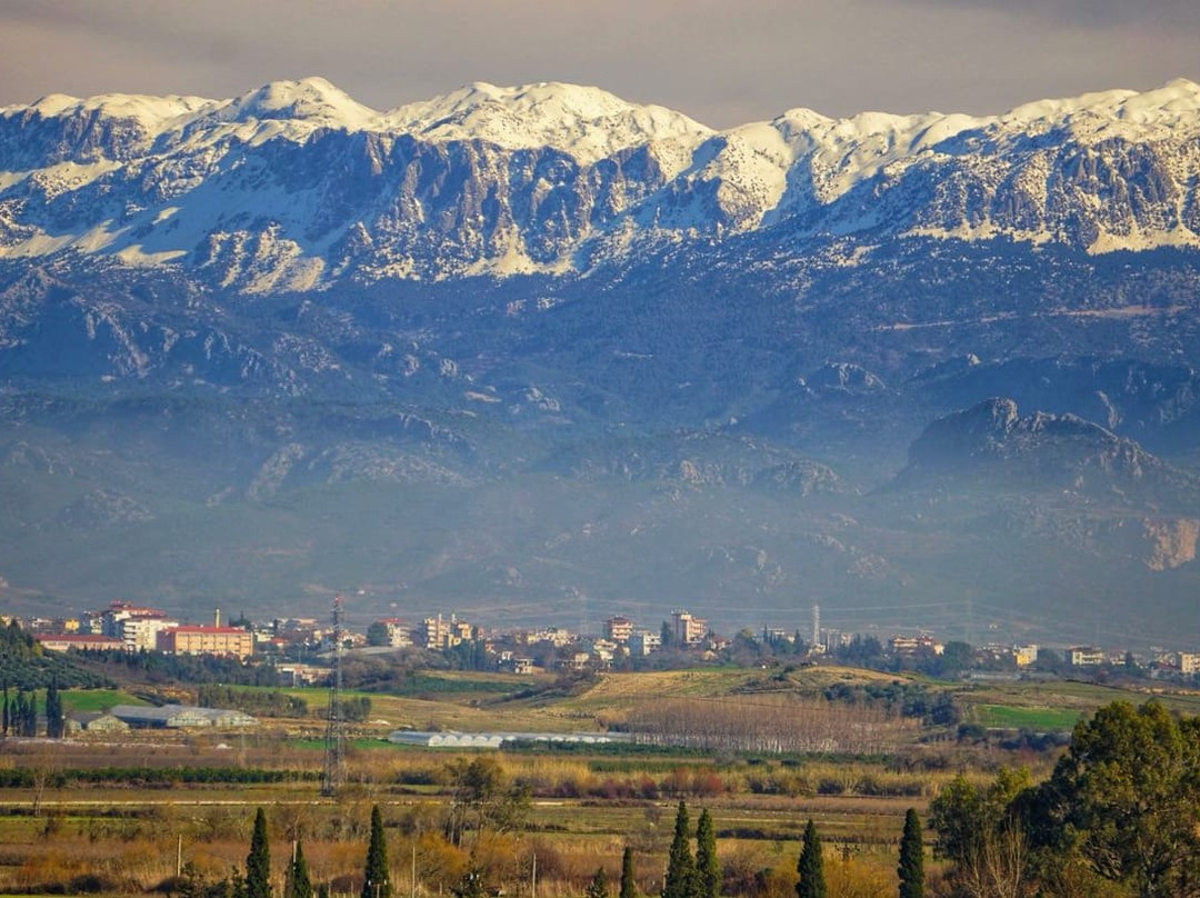 Gloria Sports Arena主图