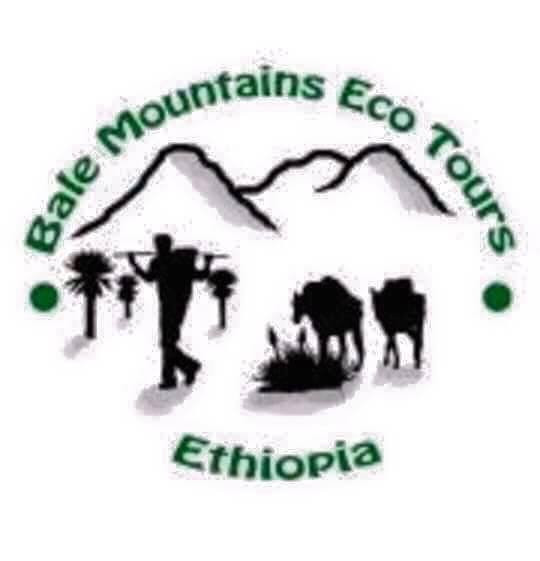Bale Mountains Eco Tours Ethiopia景点图片