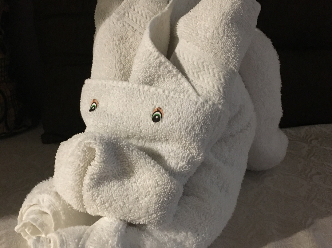 Casa Jose Maria Hotel主图