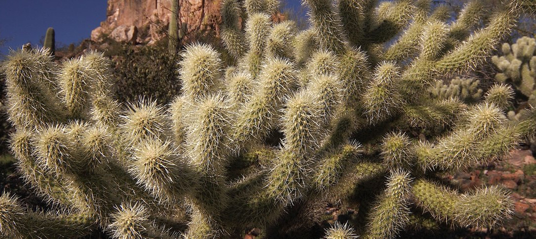 Canyon Rio Rafting-Whiteriver必去景点