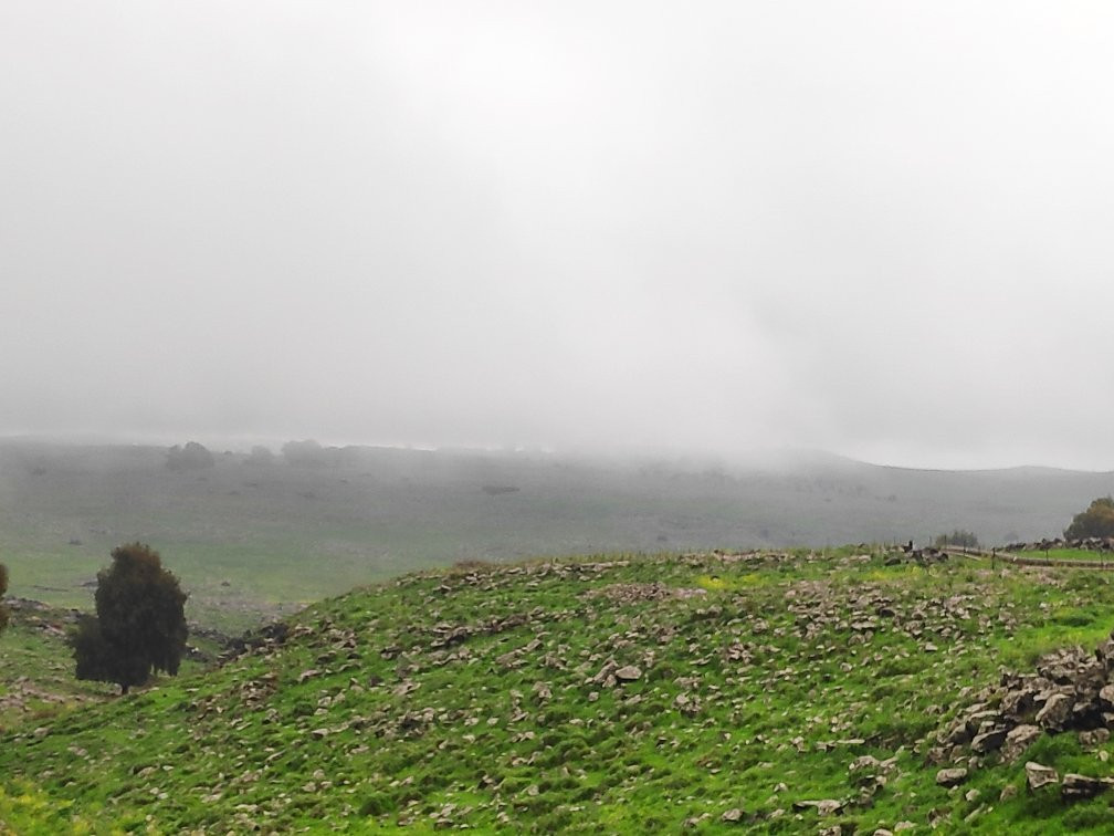 Amiad旅游攻略图片