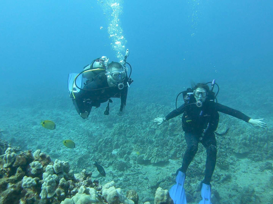 夏威夷彩虹潜水呼吸器景点图片