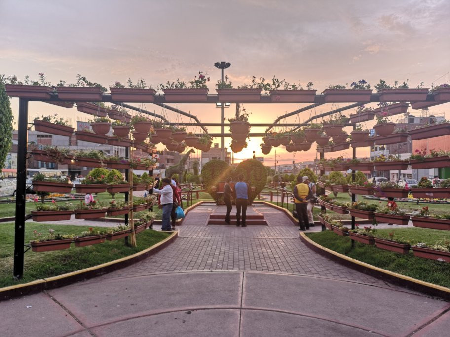 Bosque Municipal De Tacna-塔克纳必去景点