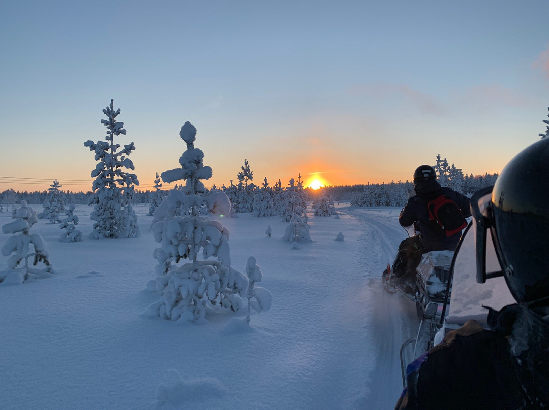 Pyhä Safaris-Pyhatunturi必去景点