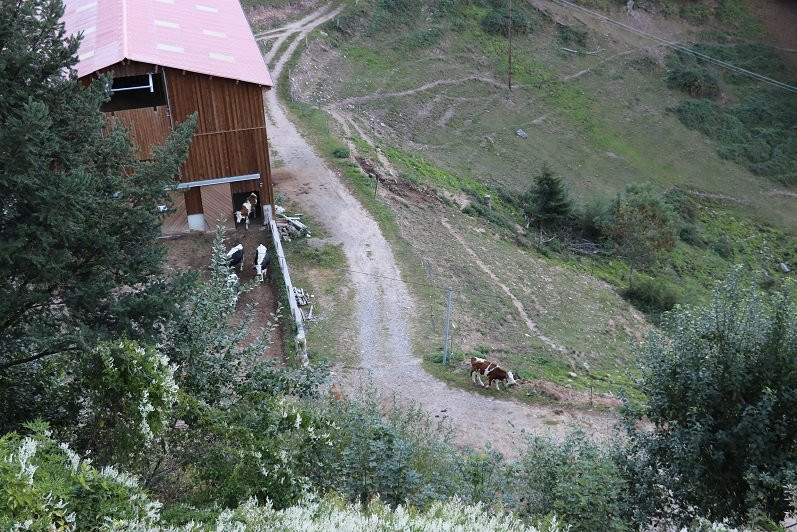 米尔巴舍尔客栈主图