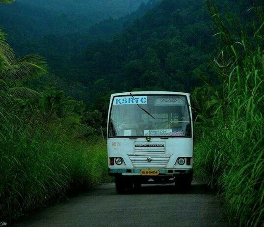 Nilambur Manor主图